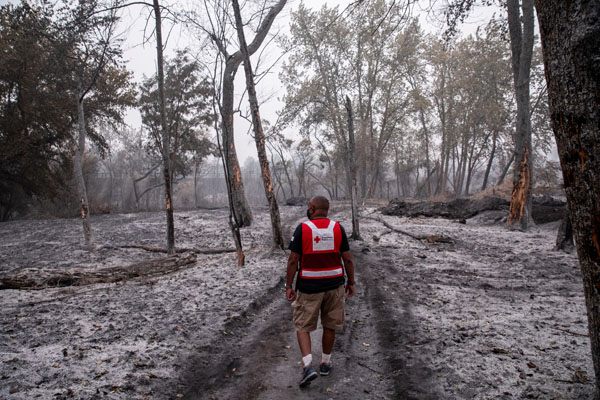 Eric Carmichael of the American Red Cross looks out on what was an unspoiled wooded area that burned in the fires near Central Point, OR on Sunday, September 13, 2020.